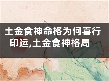 土金食神命格为何喜行印运,土金食神格局