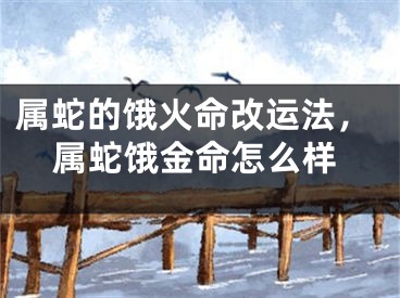 属蛇的饿火命改运法,属蛇饿金命怎么样