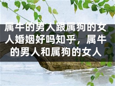 属牛的男人跟属狗的女人婚姻好吗知乎，属牛的男人和属狗的女人