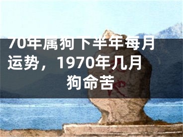 70年属狗下半年每月运势,1970年几月狗命苦