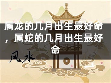 属龙的几月出生最好命，属蛇的几月出生最好命