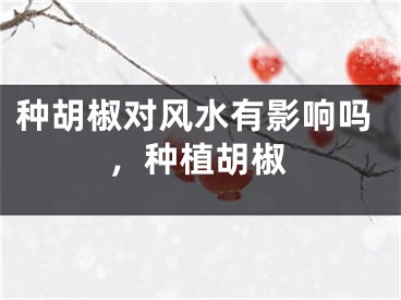 种胡椒对风水有影响吗，种植胡椒