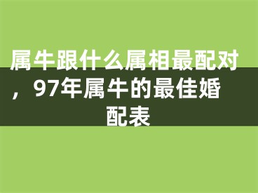 属牛跟什么属相最配对,97年属牛的最佳婚配表
