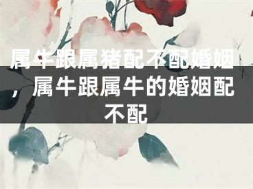 属牛跟属猪配不配婚姻，属牛跟属牛的婚姻配不配