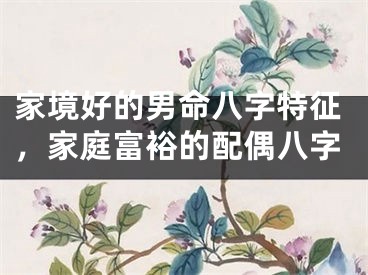 家境好的男命八字特征，家庭富裕的配偶八字