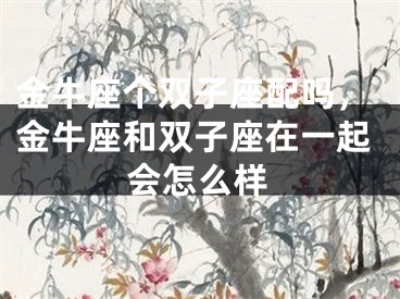 金牛座个双子座配吗，金牛座和双子座在一起会怎么样