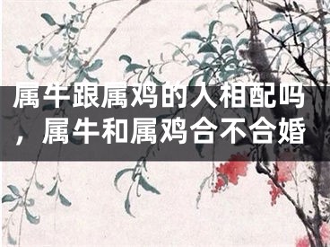 属牛跟属鸡的人相配吗，属牛和属鸡合不合婚