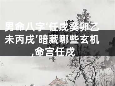 男命八字‘任戌癸卯乙未丙戌’暗藏哪些玄机,命宫任戌