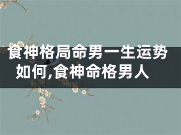 食神格局命男一生运势如何,食神命格男人