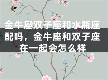 金牛座双子座和水瓶座配吗，金牛座和双子座在一起会怎么样