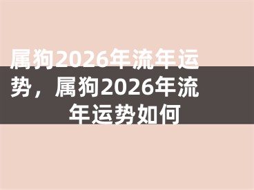 属狗2026年流年运势，属狗2026年流年运势如何