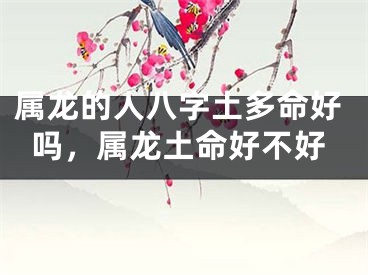 属龙的人八字土多命好吗，属龙土命好不好