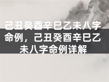 己丑癸酉辛巳乙未八字命例，己丑癸酉辛巳乙未八字命例详解
