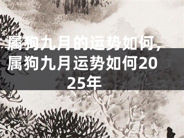 属狗九月的运势如何，属狗九月运势如何2025年