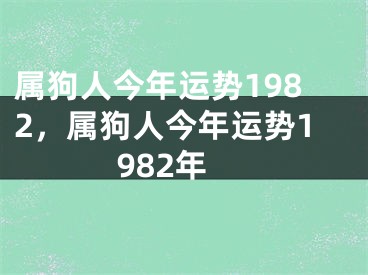 属狗人今年运势1982，属狗人今年运势1982年