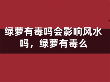 绿萝有毒吗会影响风水吗，绿萝有毒么