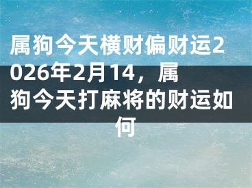 属狗今天横财偏财运2026年2月14，属狗今天打麻将的财运如何