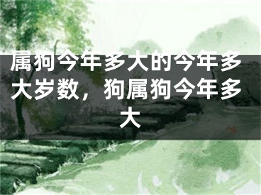 属狗今年多大的今年多大岁数，狗属狗今年多大