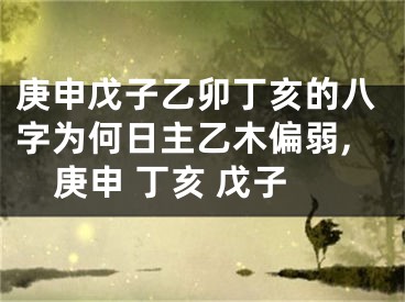 庚申戊子乙卯丁亥的八字为何日主乙木偏弱,庚申 丁亥 戊子
