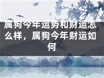 属狗今年运势和财运怎么样，属狗今年财运如何