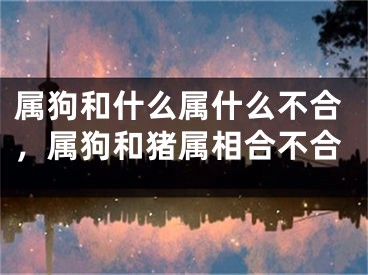 属狗和什么属什么不合，属狗和猪属相合不合