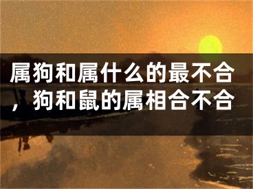 属狗和属什么的最不合，狗和鼠的属相合不合