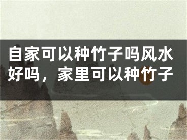 自家可以种竹子吗风水好吗，家里可以种竹子