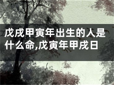 戊戌甲寅年出生的人是什么命,戊寅年甲戌日