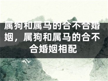 属狗和属马的合不合婚姻，属狗和属马的合不合婚姻相配