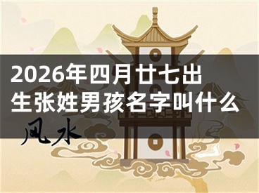 2026年四月廿七出生张姓男孩名字叫什么