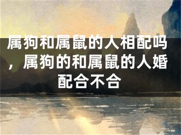 属狗和属鼠的人相配吗，属狗的和属鼠的人婚配合不合