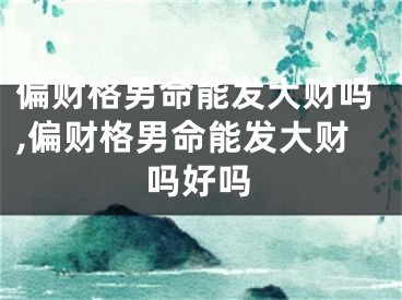 偏财格男命能发大财吗,偏财格男命能发大财吗好吗