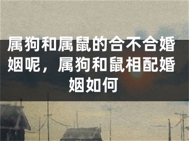 属狗和属鼠的合不合婚姻呢，属狗和鼠相配婚姻如何