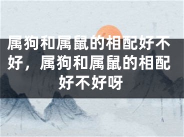 属狗和属鼠的相配好不好，属狗和属鼠的相配好不好呀