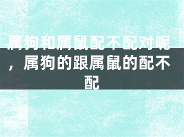 属狗和属鼠配不配对呢,属狗的跟属鼠的配不配