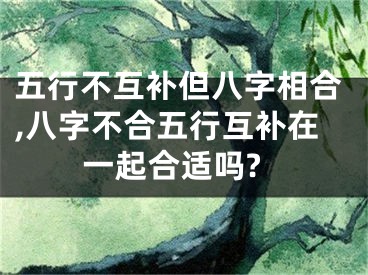 五行不互补但八字相合,八字不合五行互补在一起合适吗?