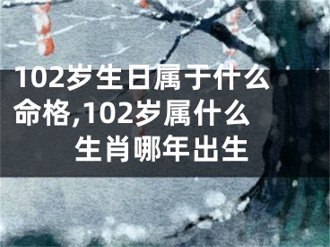 102岁生日属于什么命格,102岁属什么生肖哪年出生