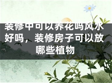 装修中可以养花吗风水好吗，装修房子可以放哪些植物
