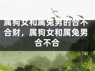 属狗女和属兔男的合不合财，属狗女和属兔男合不合
