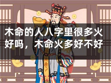 木命的人八字里很多火好吗，木命火多好不好