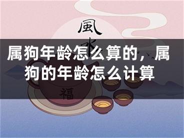 属狗年龄怎么算的，属狗的年龄怎么计算