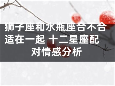 狮子座和水瓶座合不合适在一起 十二星座配对情感分析