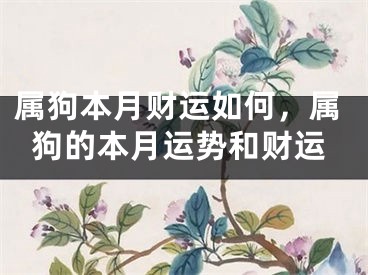属狗本月财运如何，属狗的本月运势和财运