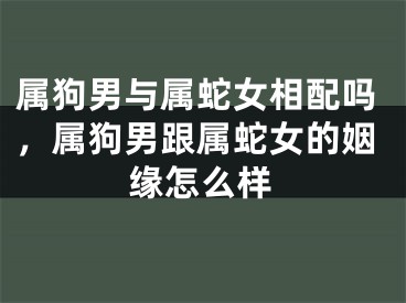 属狗男与属蛇女相配吗，属狗男跟属蛇女的姻缘怎么样