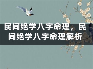 民间绝学八字命理，民间绝学八字命理解析