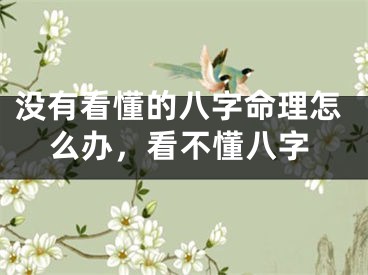 没有看懂的八字命理怎么办，看不懂八字