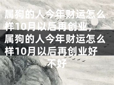 属狗的人今年财运怎么样10月以后再创业，属狗的人今年财运怎么样10月以后再创业好不好