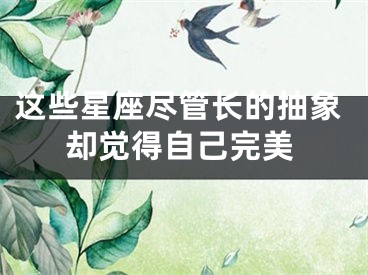 这些星座尽管长的抽象却觉得自己完美