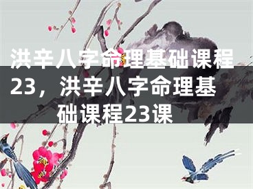 洪辛八字命理基础课程23，洪辛八字命理基础课程23课