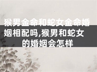 猴男金命和蛇女金命婚姻相配吗,猴男和蛇女的婚姻会怎样